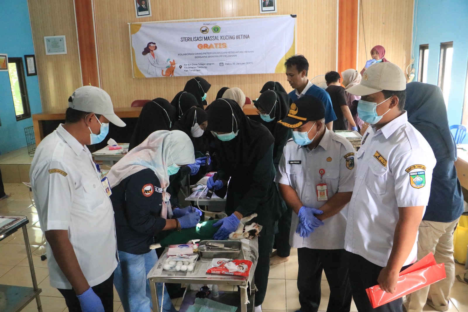 Bakti Sosial Sterilisasi Gratis: Upaya Humanis Mengendalikan Populasi Kucing di Tanah Laut