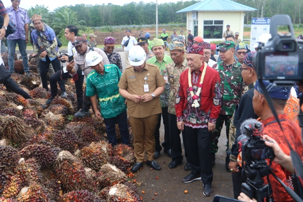 Bakal Ada Pabriknya di Tala, Menteri Kopukm Ungkap Sejumlah Keunggulan Minyak Makan Merah