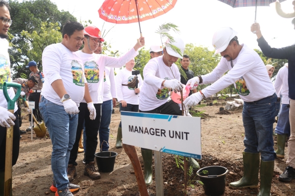 Tanaman Kaliandra, Harapan Energi Terbarukan Masa Depan