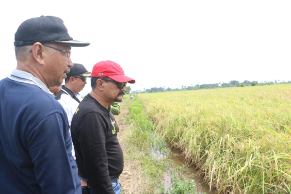 Panen Melimpah, Pj Bupati Berharap Harga GKP Tidak Turun