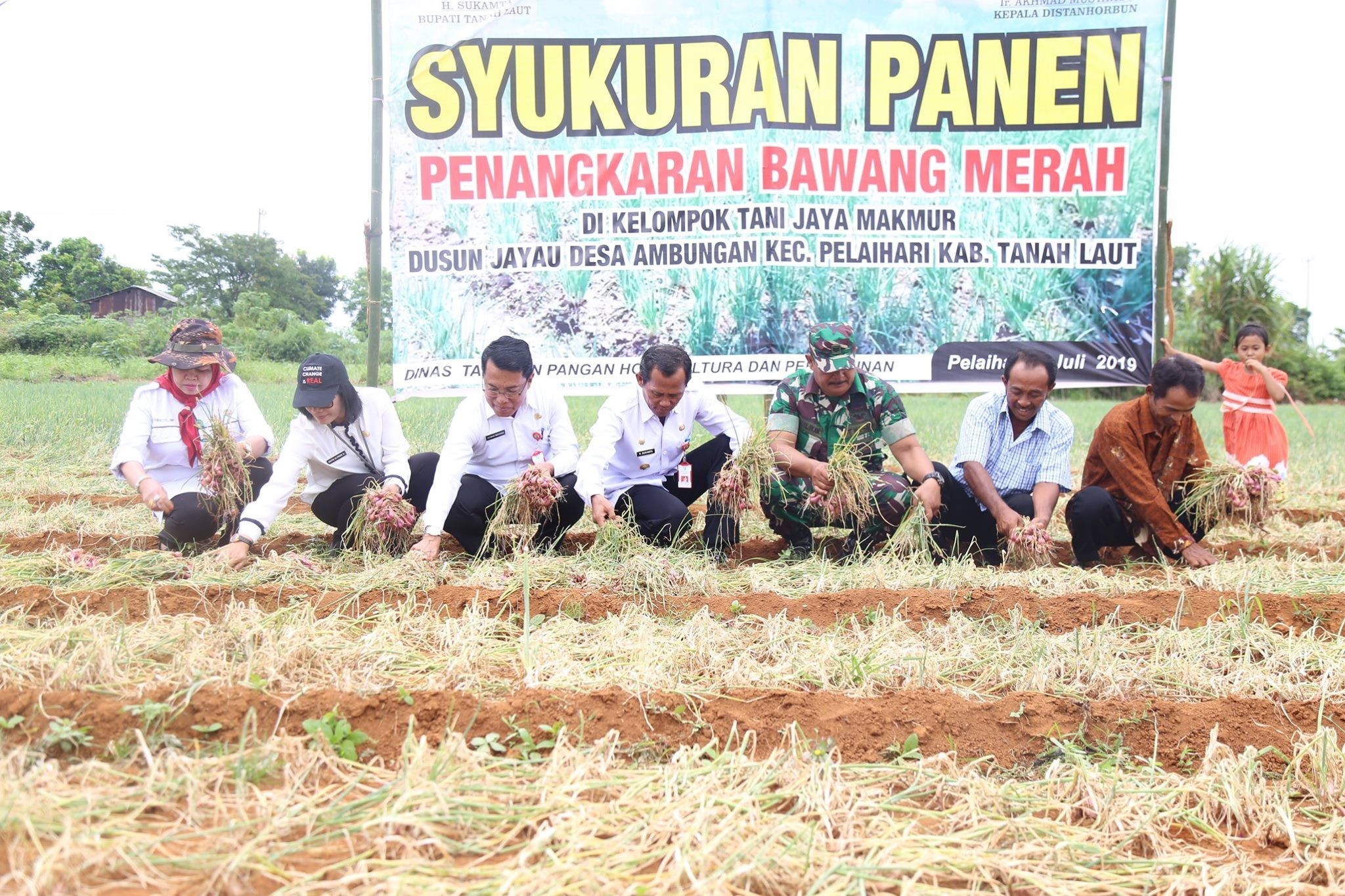 Bupati ingin petani terus kembangkan Budidaya bawang merah