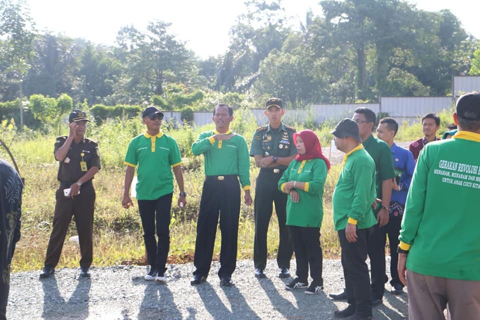 BERIKAN RASA NYAMAN DENGAN MENANAM POHON