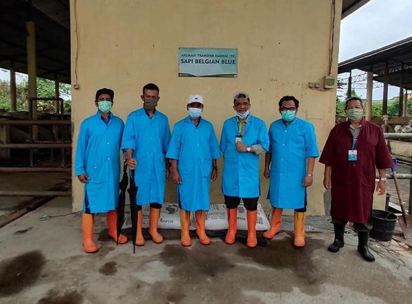 BELAJAR PENGELOLAAN PERBIBITAN SAPI POTONG DI LOKA PENELITIAN GRATI PASURUAN