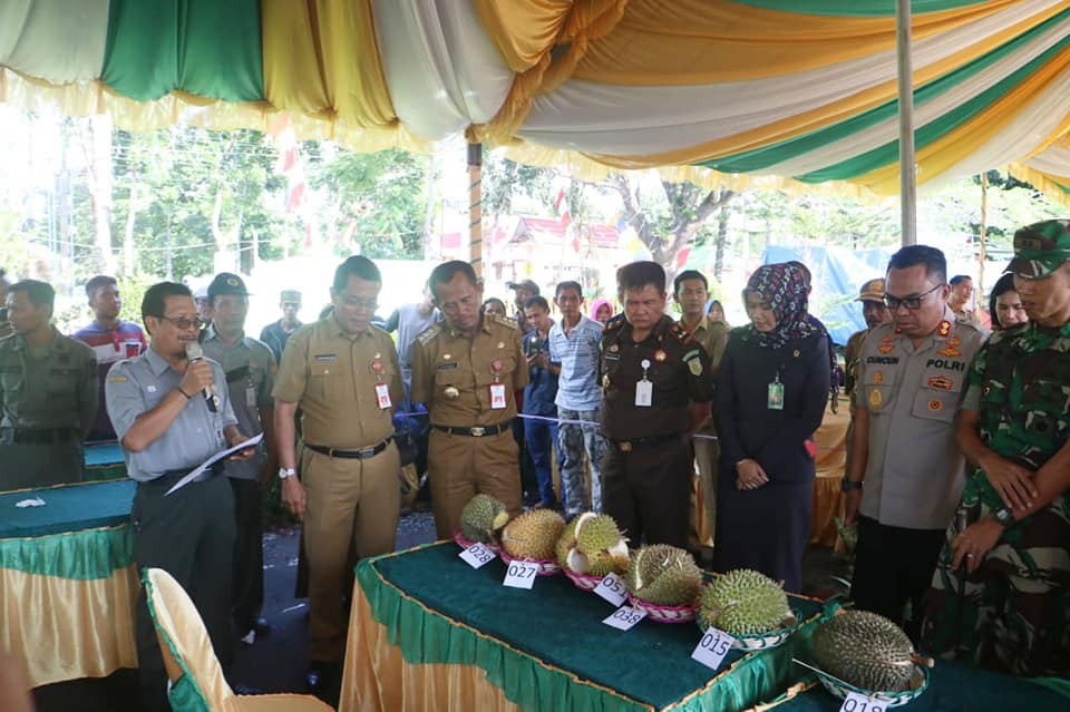 TANGKAI JUARAI KONTES DURIAN LOKAL UNGGUL TANAH LAUT