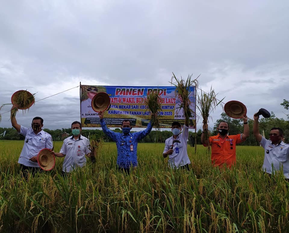 DESA MEKAR SARI PANEN RAYA